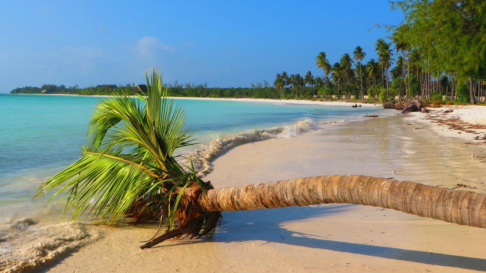 Kilimanjaro and Zanzibar Recovery planning inspiration in Zanzibar